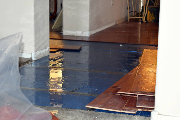 Professional Basement Flood Cleanup technician working in Sanford, ME